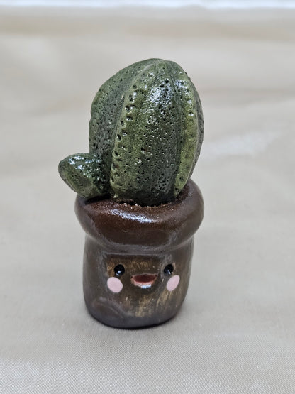 Cactus Desk Buddies