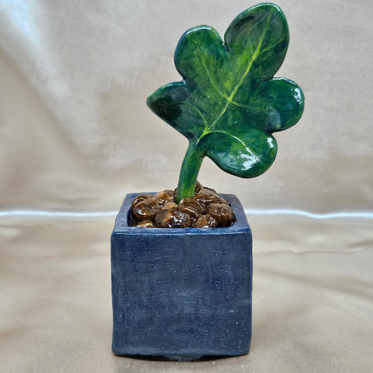 Ceramic Potted Succulent
